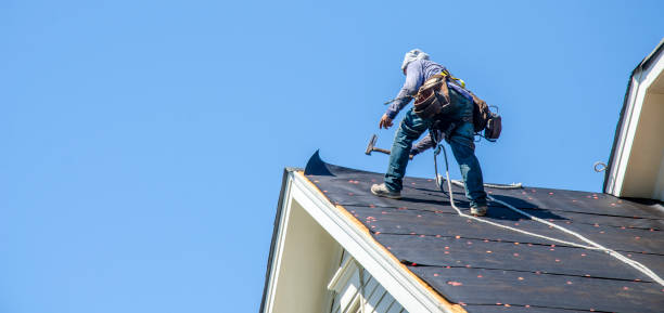 Best Local Roofing Companies  in Scenic Oaks, TX